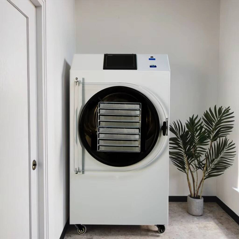 Automatische PLC-gestuurde dro - Dried Fruit recensie en prijs